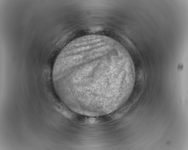X0000090780565200708172130