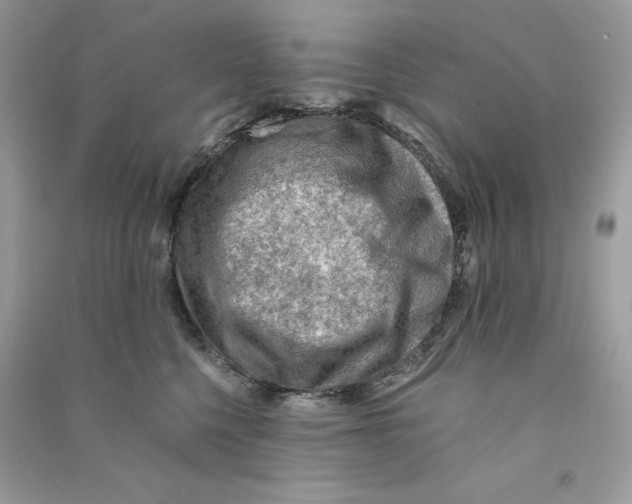 X0000090780568200708172130
