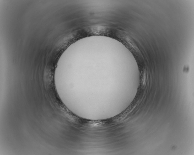 X0000090780569200708172130