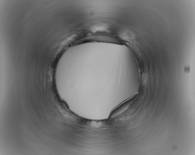 X0000090780570200708172130