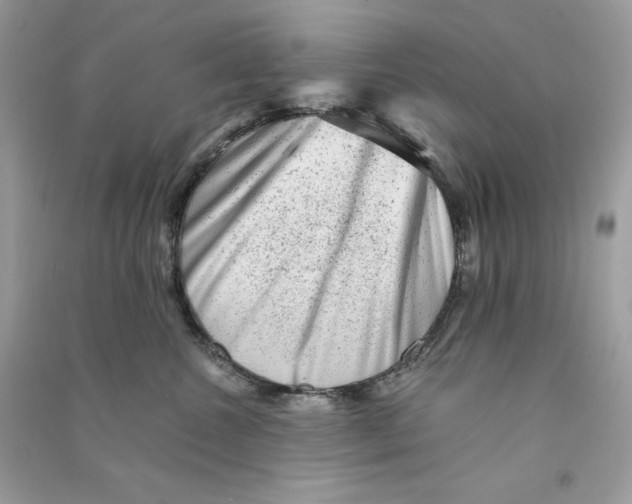 X0000090780572200708172130