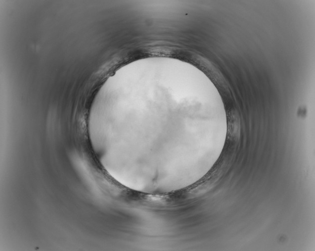 X0000090780573200708172130