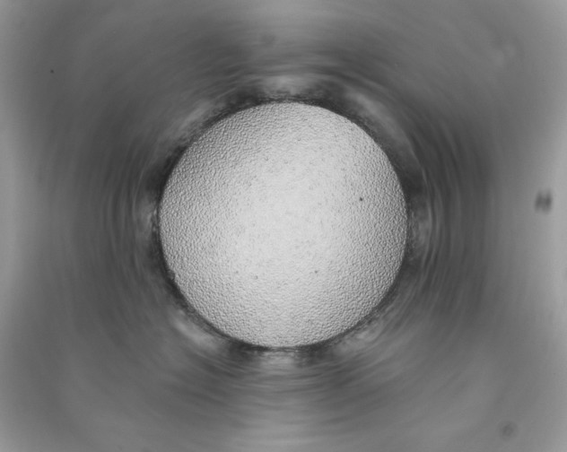 X0000090780574200708172130
