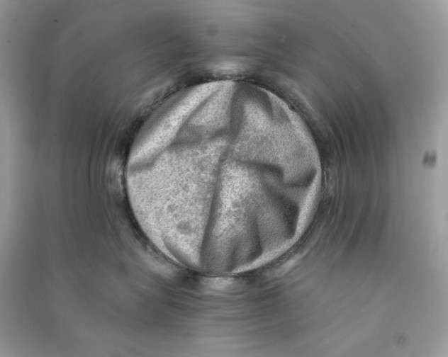 X0000090780575200708172130