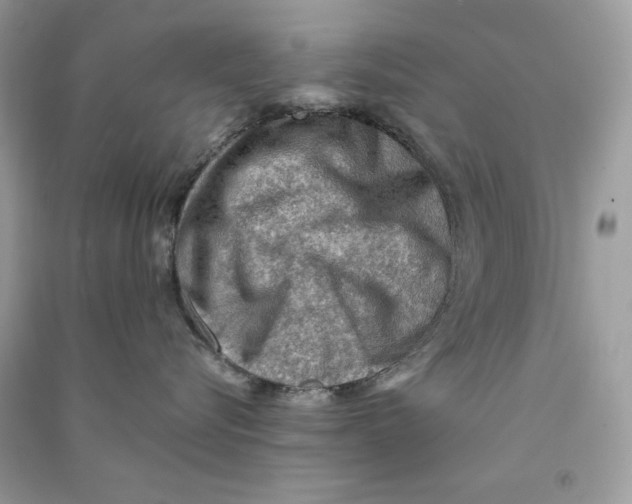 X0000090780576200708172130