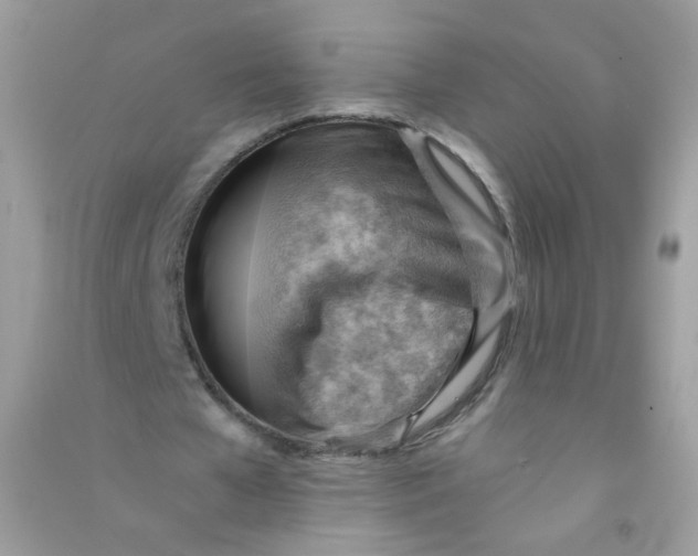 X0000090780577200708172130