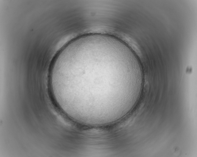 X0000090780578200708172130