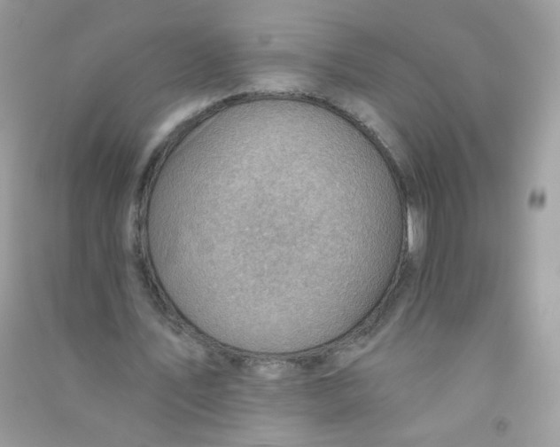 X0000090780579200708172130