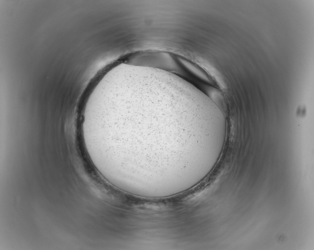 X0000090780580200708172130
