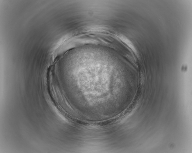 X0000090780581200708172130
