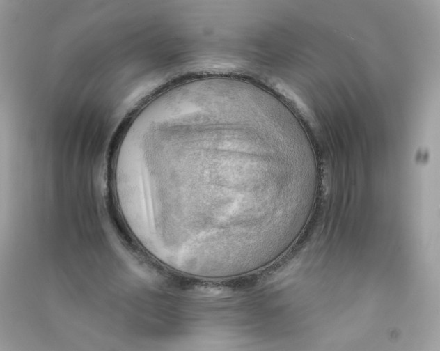 X0000090780582200708172130