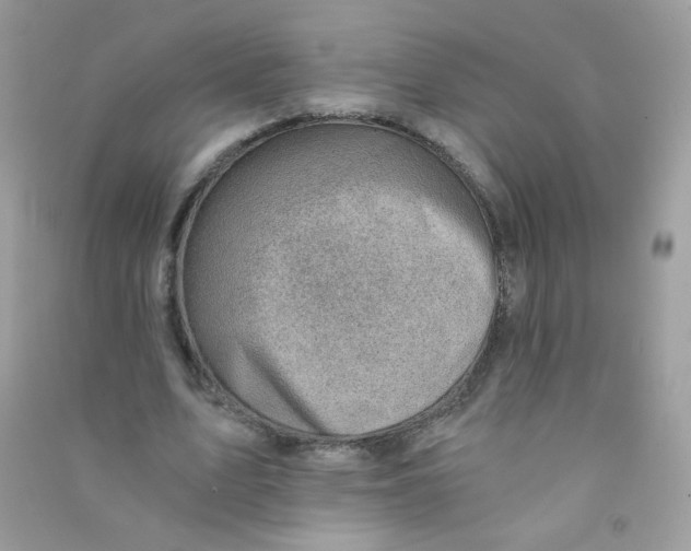 X0000090780583200708172130