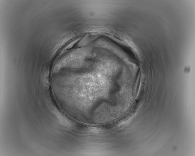 X0000090780585200708172130