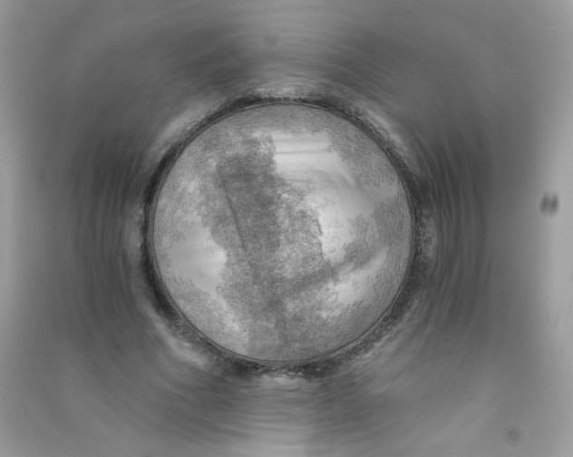 X0000090780586200708172130