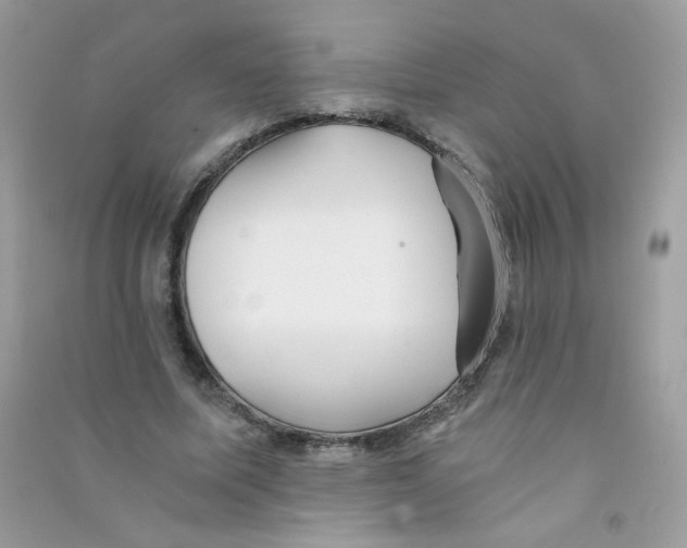 X0000090780587200708172130