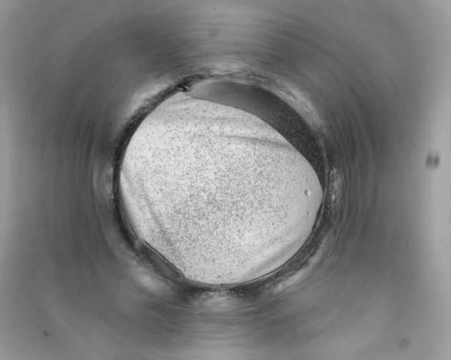 X0000090780589200708172130