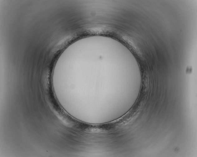 X0000090780590200708172129