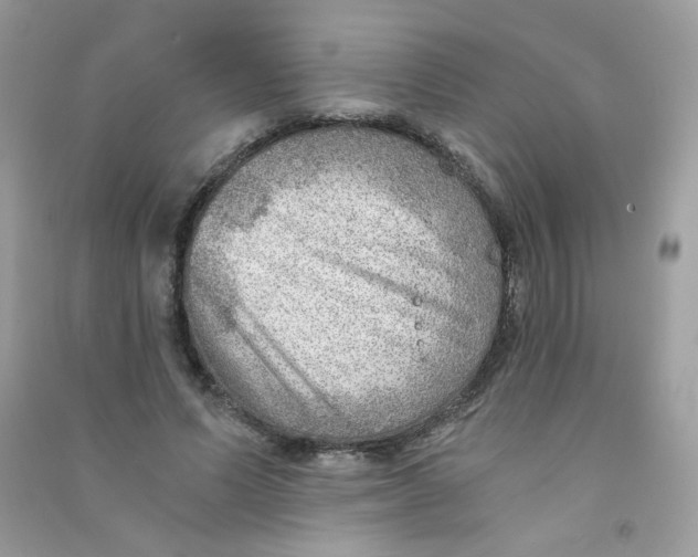 X0000090780591200708172129