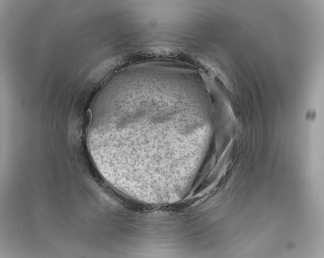 X0000090780593200708172129