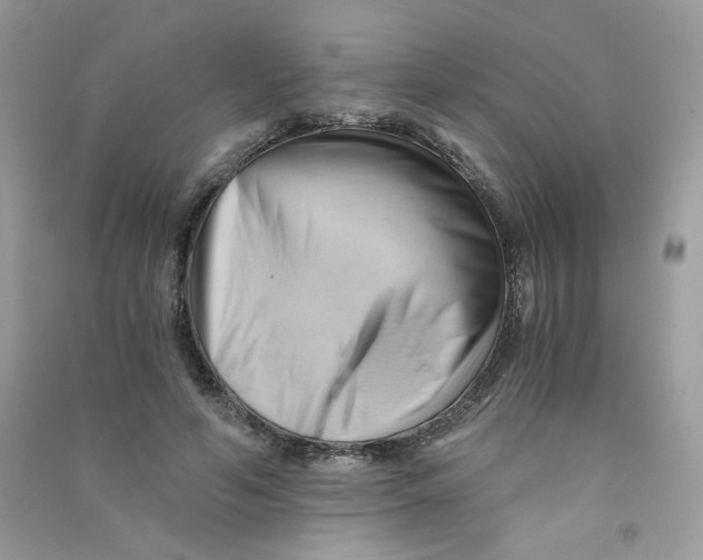 X0000090780594200708172129
