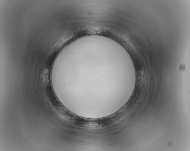 X0000090780598200708172129