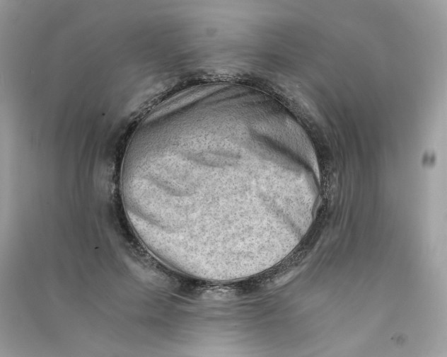 X0000090780599200708172129