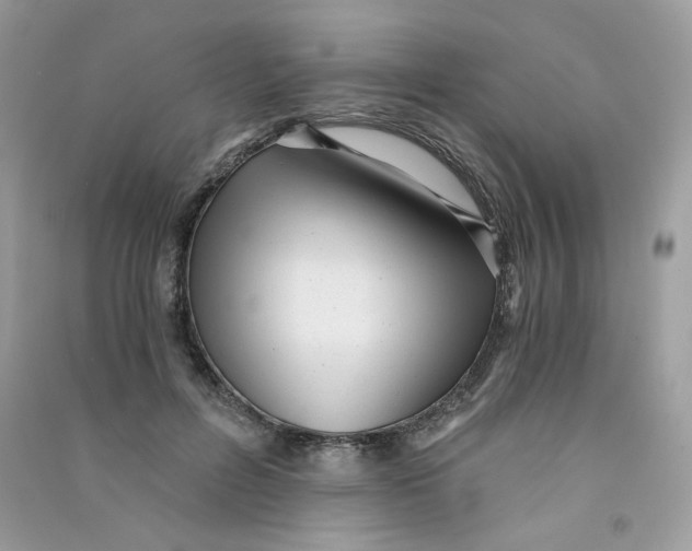 X0000090780600200708172129