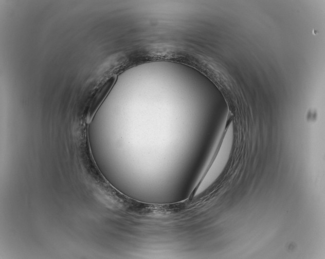 X0000090780601200708172129