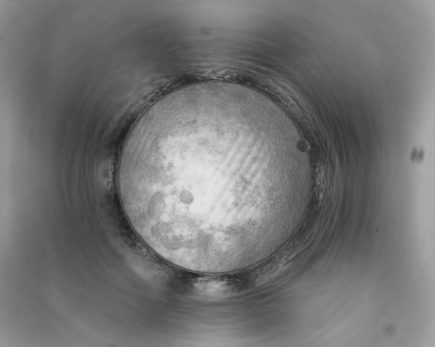 X0000090780602200708172129