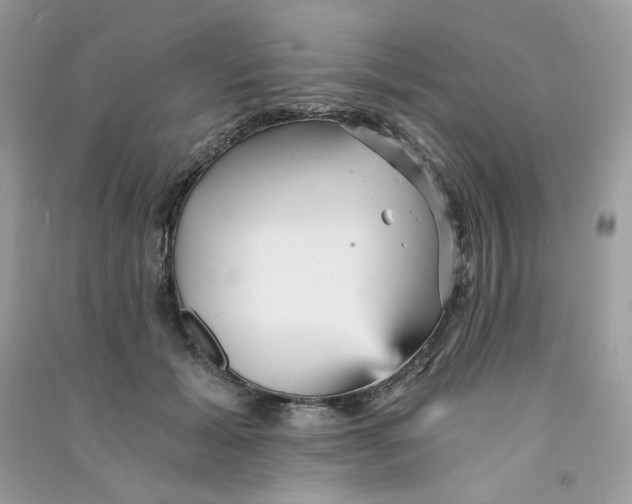 X0000090780605200708172129