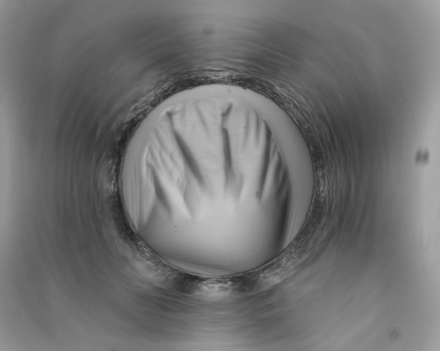 X0000090780606200708172129