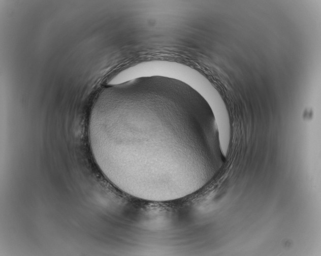 X0000090780608200708172129