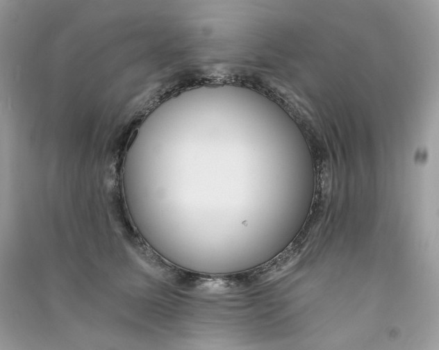 X0000090780611200708172129