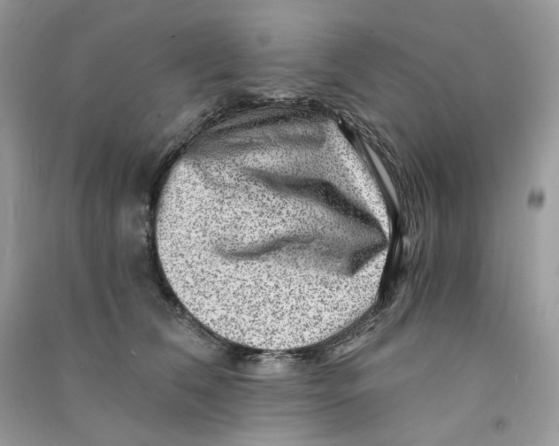 X0000090780612200708172129