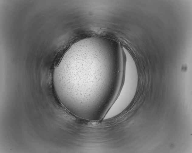 X0000090780613200708172129
