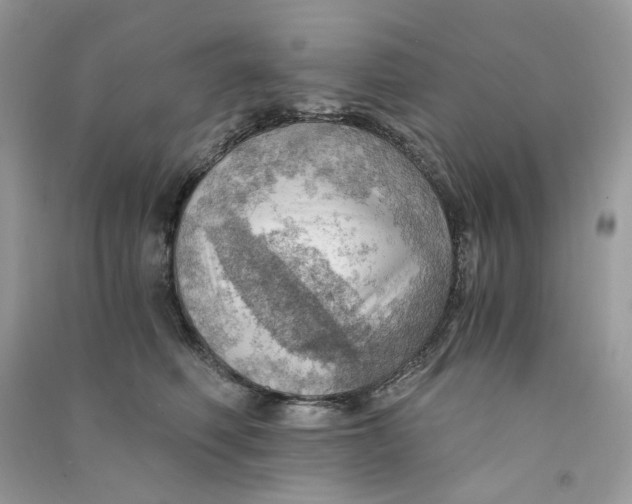 X0000090780614200708172129