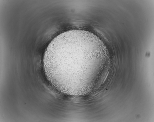 X0000090780615200708172129