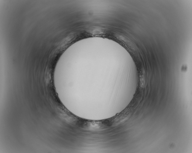 X0000090780618200708172129
