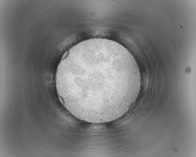 X0000090780619200708172129