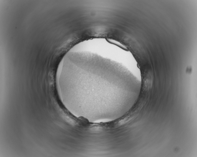 X0000090780620200708172129