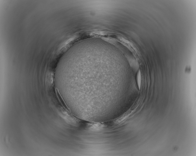 X0000090780621200708172129