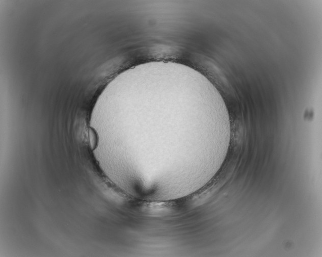 X0000090780622200708172129