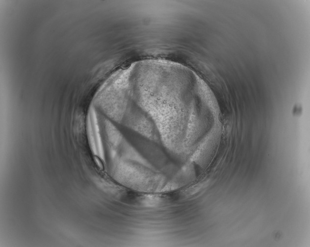 X0000090780623200708172129