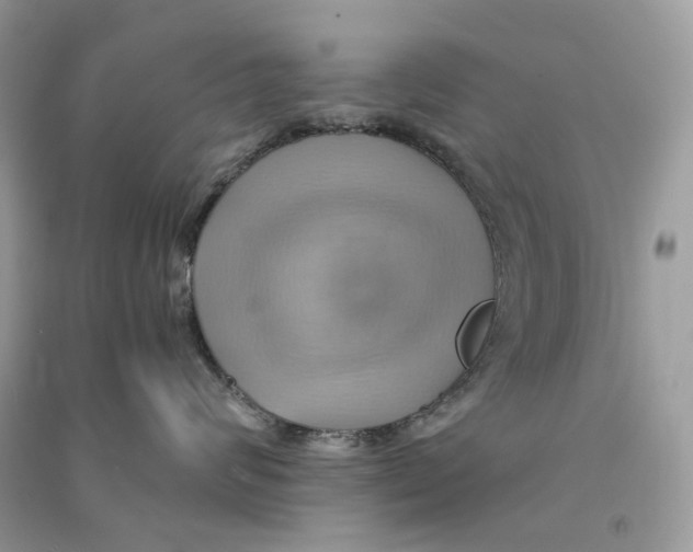 X0000090780624200708172129