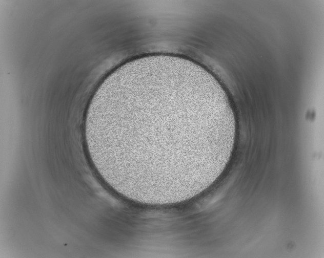 X0000090780625200708172128