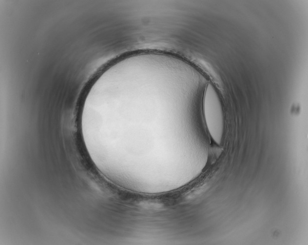 X0000090780628200708172129