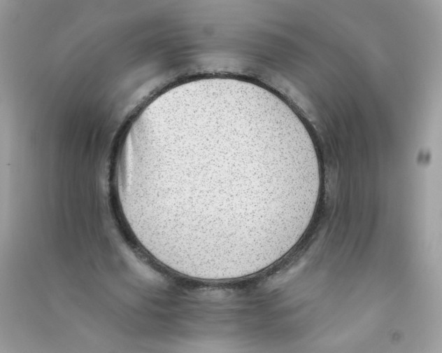 X0000090780629200708172129