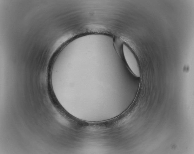 X0000090780630200708172129