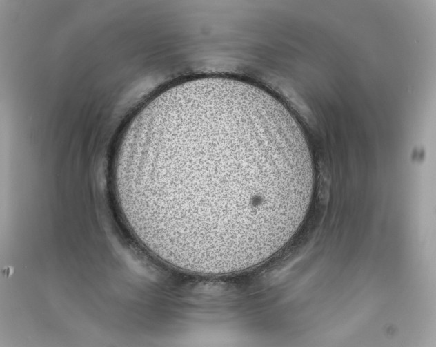 X0000090780631200708172129