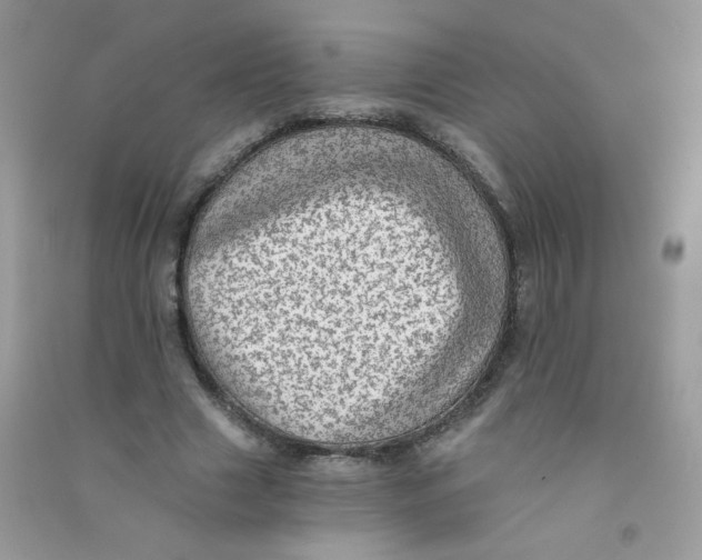 X0000090780633200708172129